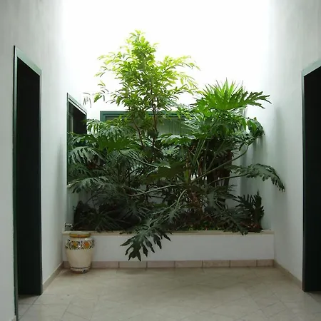 Hotel La Primula 3*