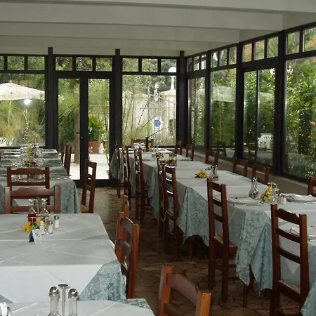 La Primula Forte dei Marmi